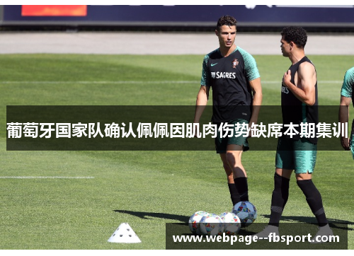 葡萄牙国家队确认佩佩因肌肉伤势缺席本期集训 葡萄牙国家队确认佩佩因肌肉伤势缺席本期集训